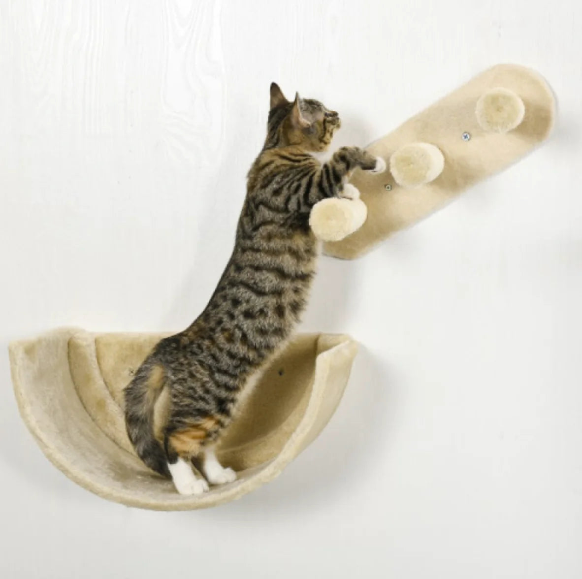 Cat Wall Shelves Set Furniture